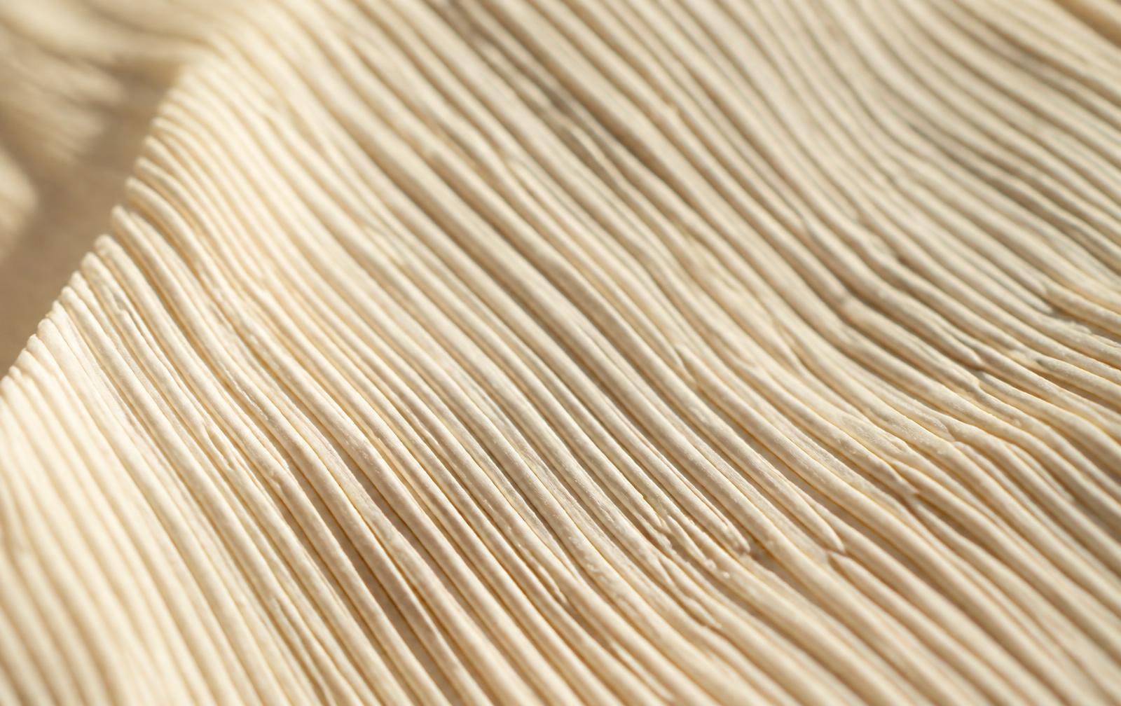Macro van handgemaakte klei textuur